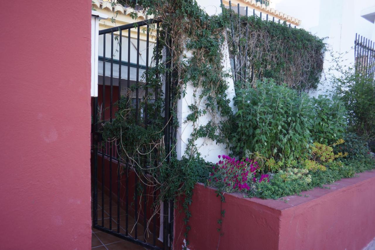 Cute And Relaxing Bed And Breakfast En Albayzin Granada Eksteriør billede